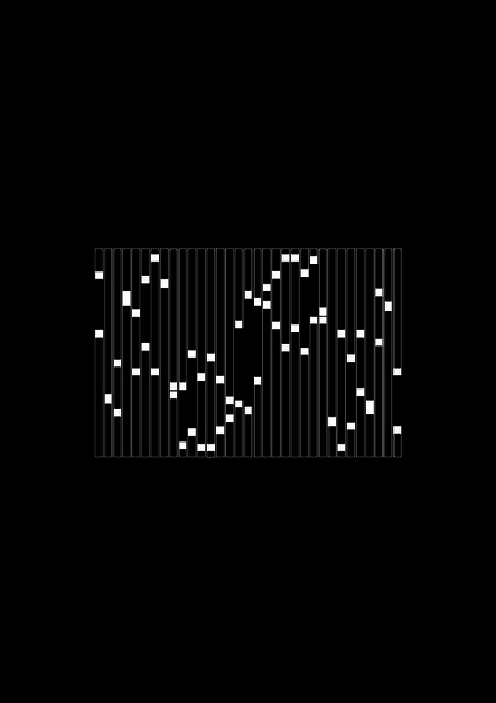 <i>Geordneter Pfad – Schema 171</i>, c-print, 20 x 30 cm