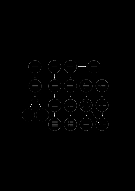 <i>Geordneter Pfad – Schema 40</i>, c-print, 20 x 30 cm