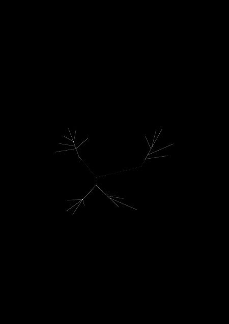 <i>Geordneter Pfad – Schema 49</i>, c-print, 20 x 30 cm