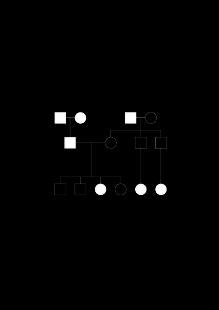 <i>Geordneter Pfad – Schema 01</i>, c-print, 20 x 30 cm